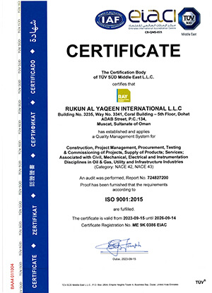 REN ISO 9001